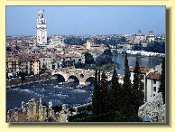 casaalba_borso_del_grappa036002.jpg