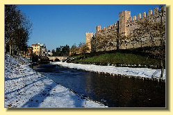 casaalba_borso_del_grappa037002.jpg